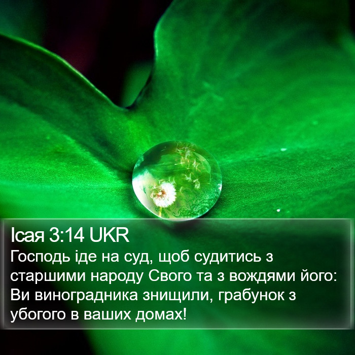 Ісая 3:14 UKR Bible Study