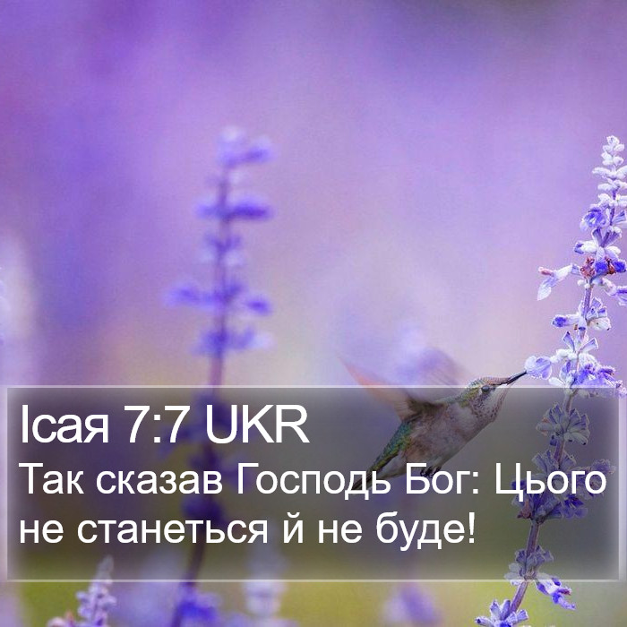 Ісая 7:7 UKR Bible Study