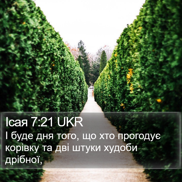 Ісая 7:21 UKR Bible Study