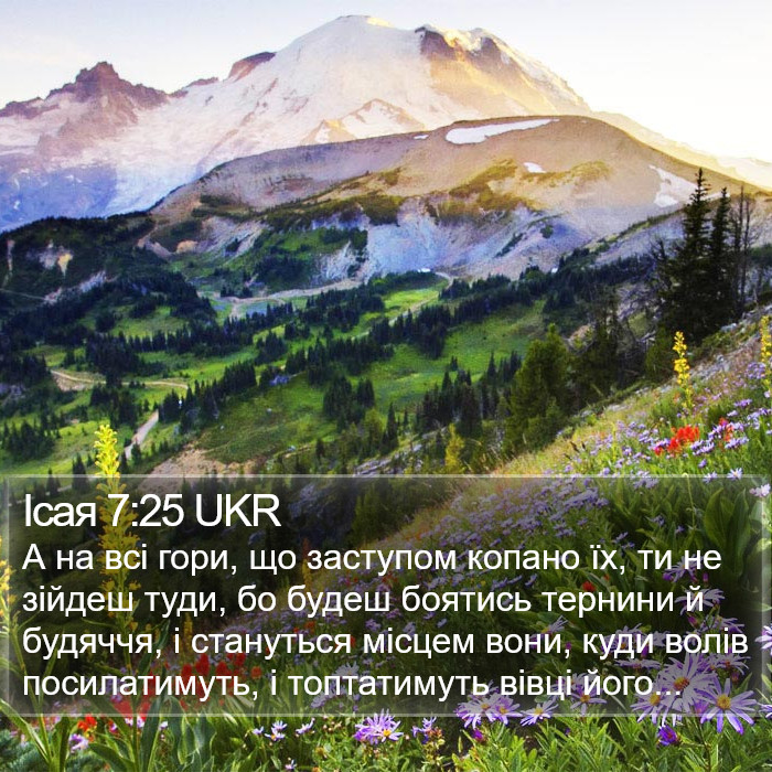 Ісая 7:25 UKR Bible Study