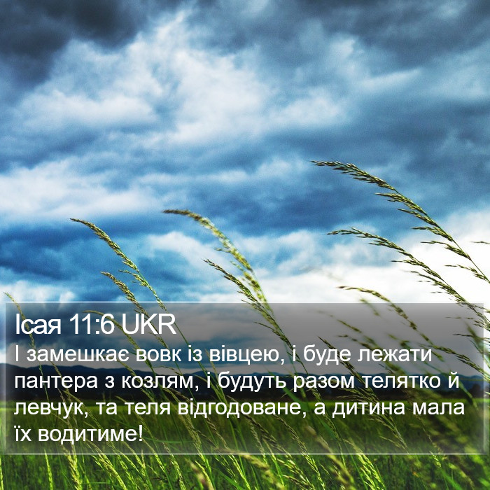 Ісая 11:6 UKR Bible Study