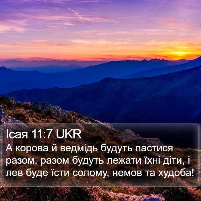 Ісая 11:7 UKR Bible Study