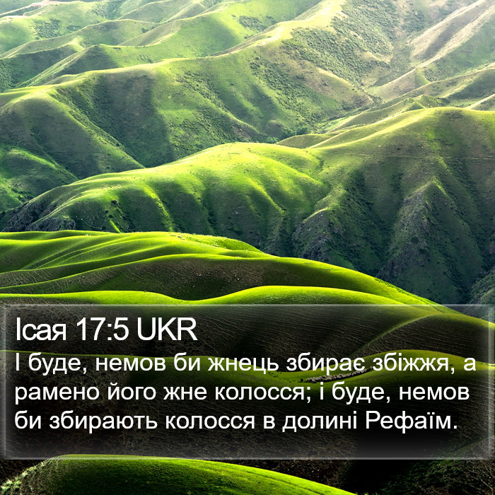 Ісая 17:5 UKR Bible Study