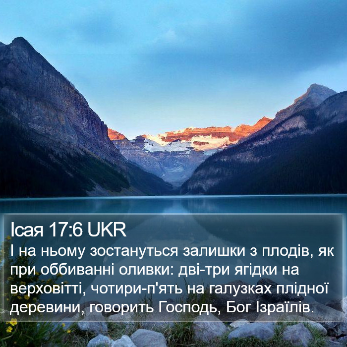 Ісая 17:6 UKR Bible Study