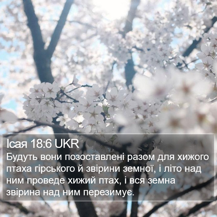 Ісая 18:6 UKR Bible Study