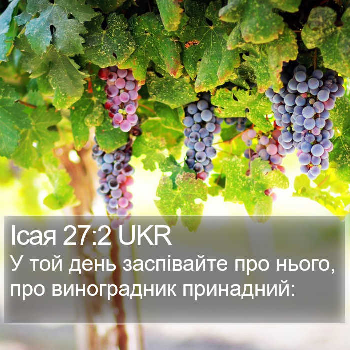 Ісая 27:2 UKR Bible Study