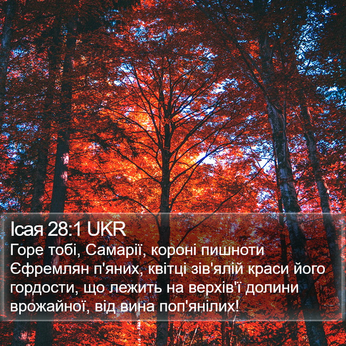 Ісая 28:1 UKR Bible Study