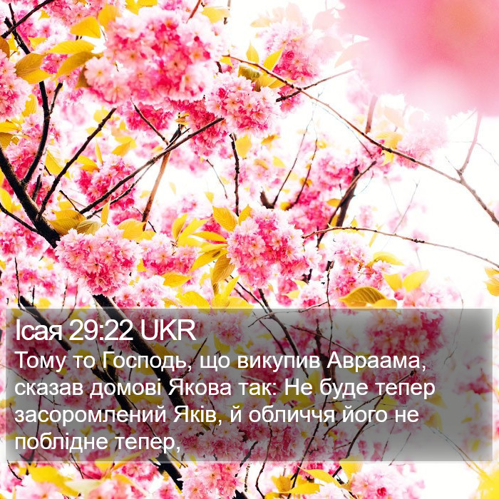 Ісая 29:22 UKR Bible Study