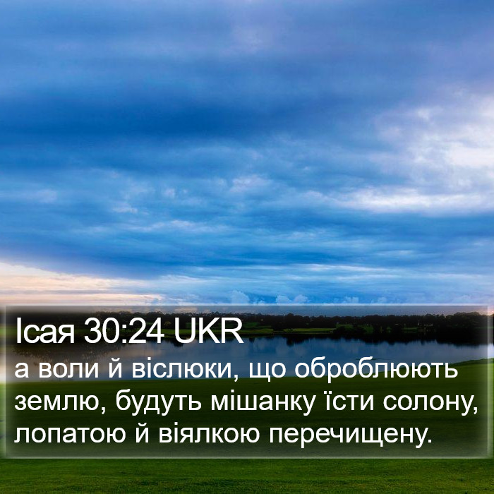 Ісая 30:24 UKR Bible Study