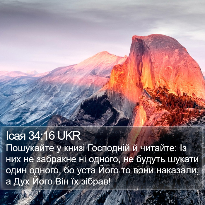 Ісая 34:16 UKR Bible Study