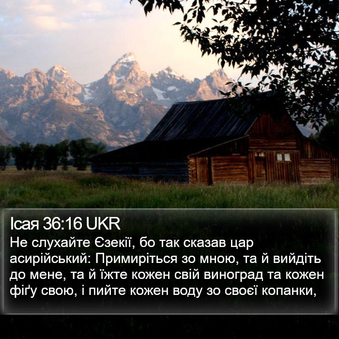 Ісая 36:16 UKR Bible Study