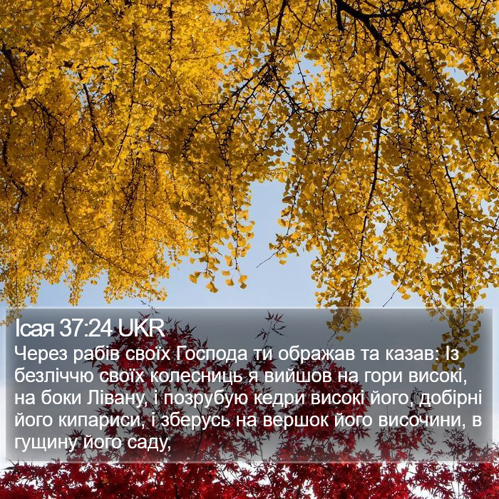 Ісая 37:24 UKR Bible Study