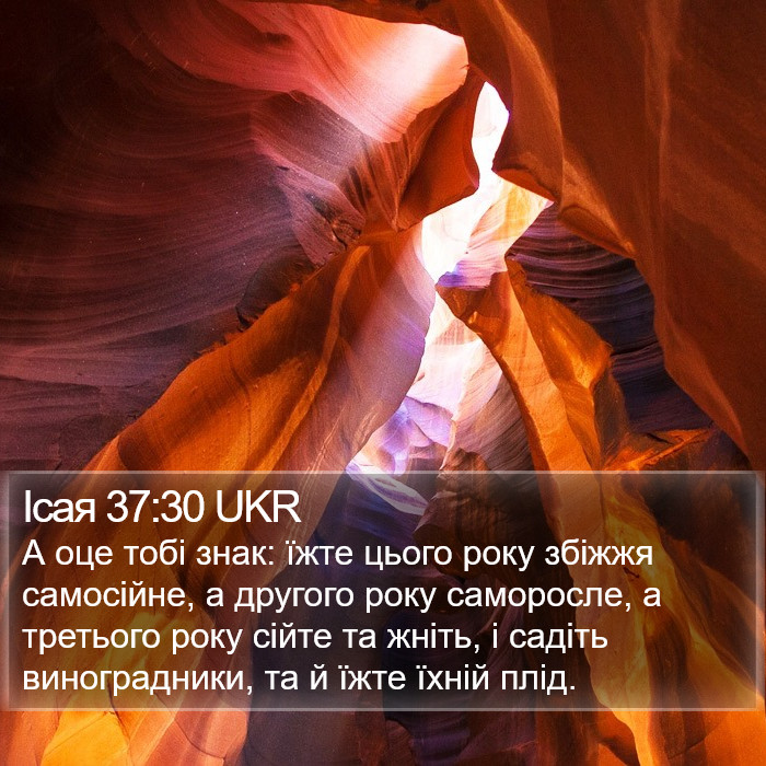 Ісая 37:30 UKR Bible Study