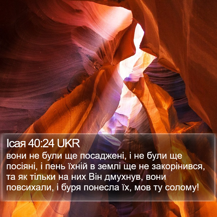 Ісая 40:24 UKR Bible Study