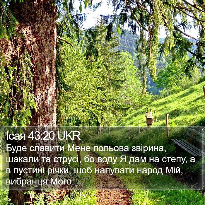 Ісая 43:20 UKR Bible Study