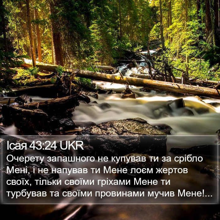 Ісая 43:24 UKR Bible Study