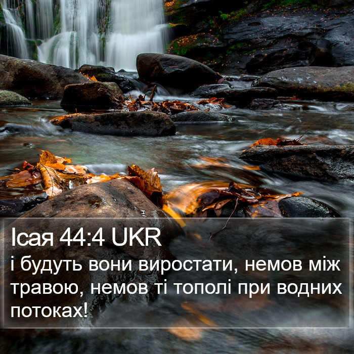 Ісая 44:4 UKR Bible Study