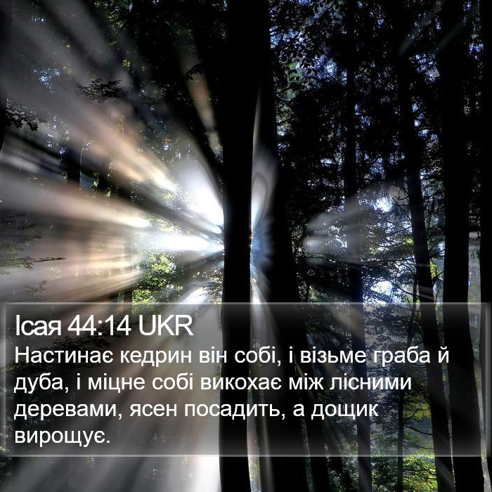 Ісая 44:14 UKR Bible Study