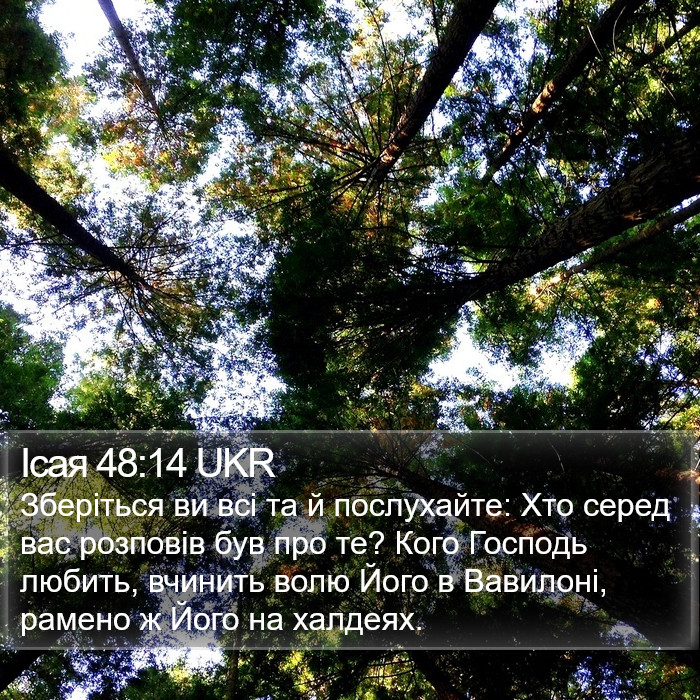 Ісая 48:14 UKR Bible Study