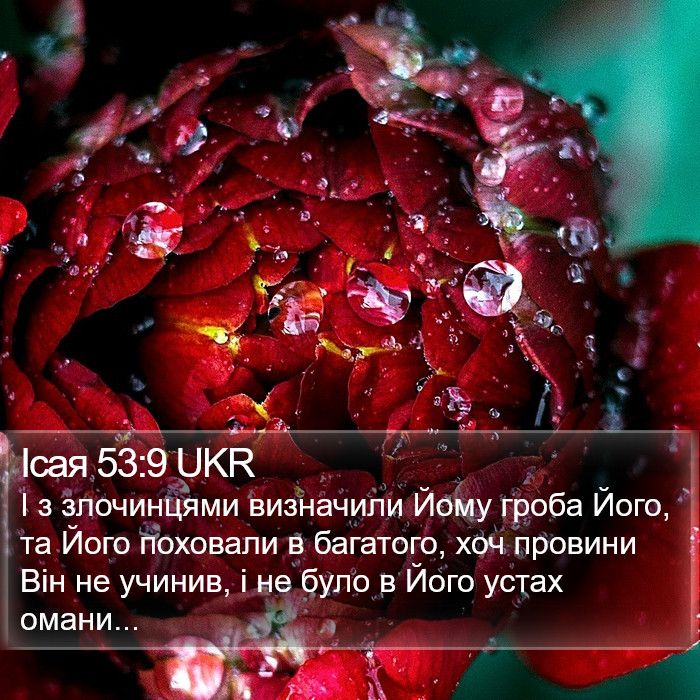 Ісая 53:9 UKR Bible Study