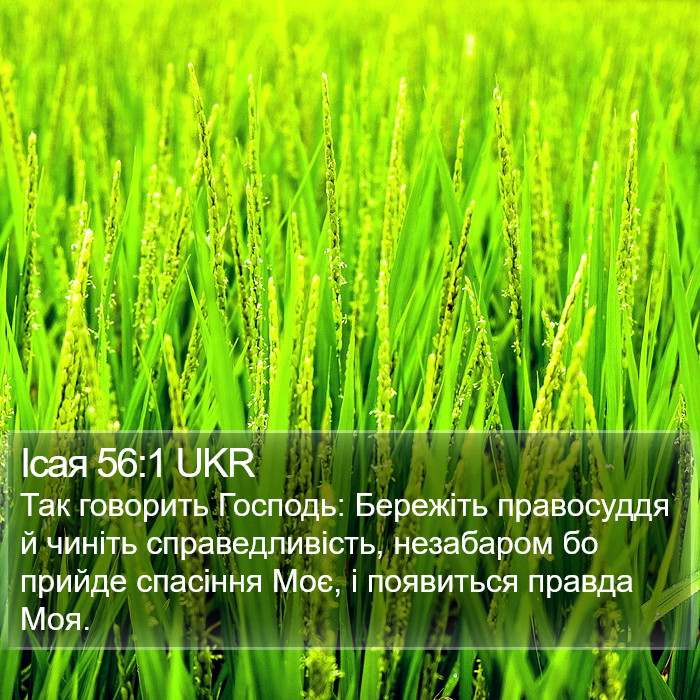 Ісая 56:1 UKR Bible Study