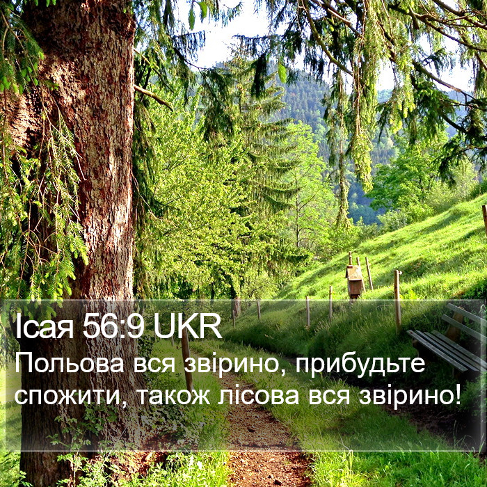 Ісая 56:9 UKR Bible Study