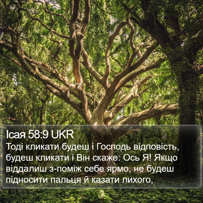 Ісая 58:9 UKR Bible Study