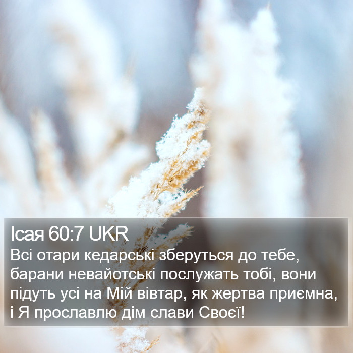 Ісая 60:7 UKR Bible Study