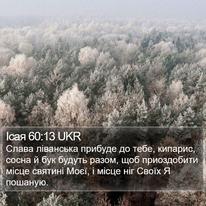 Ісая 60:13 UKR Bible Study