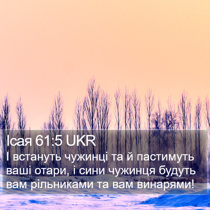 Ісая 61:5 UKR Bible Study