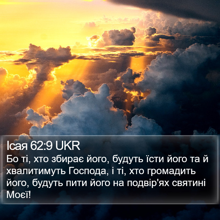 Ісая 62:9 UKR Bible Study