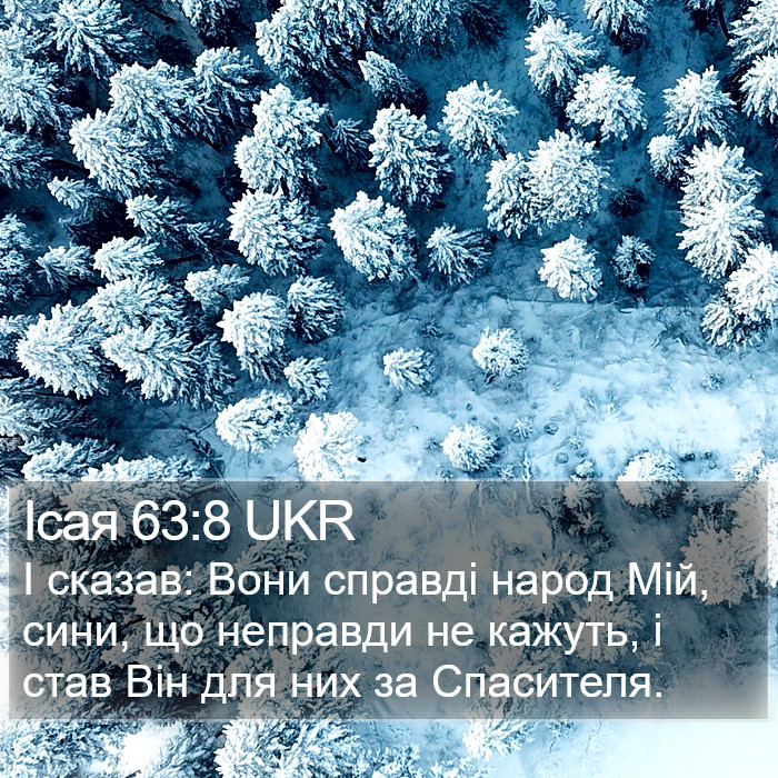 Ісая 63:8 UKR Bible Study