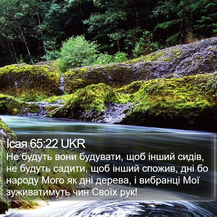 Ісая 65:22 UKR Bible Study