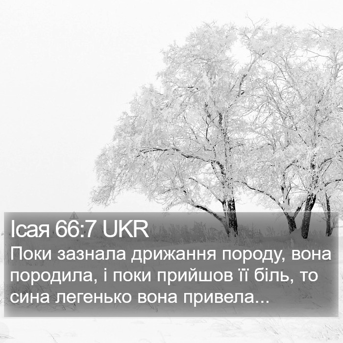 Ісая 66:7 UKR Bible Study