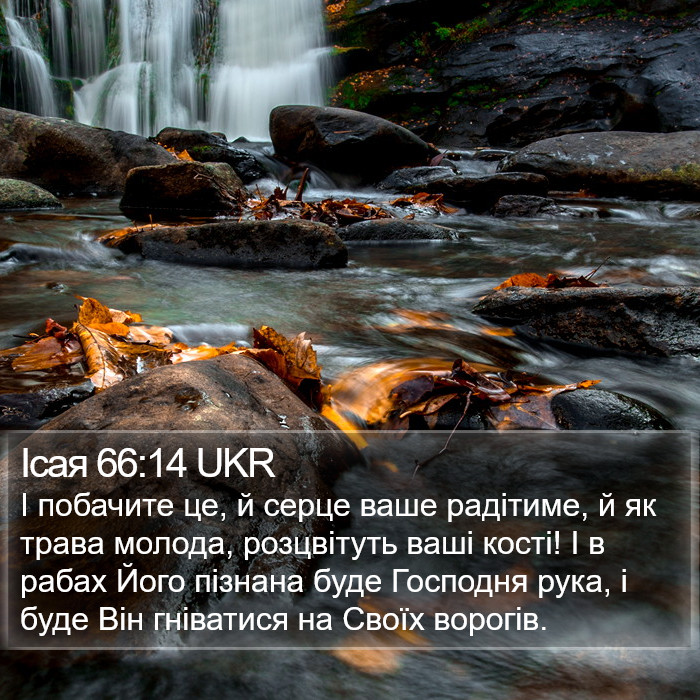 Ісая 66:14 UKR Bible Study