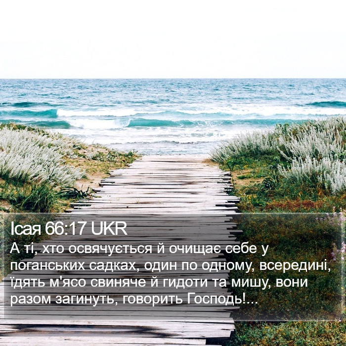 Ісая 66:17 UKR Bible Study