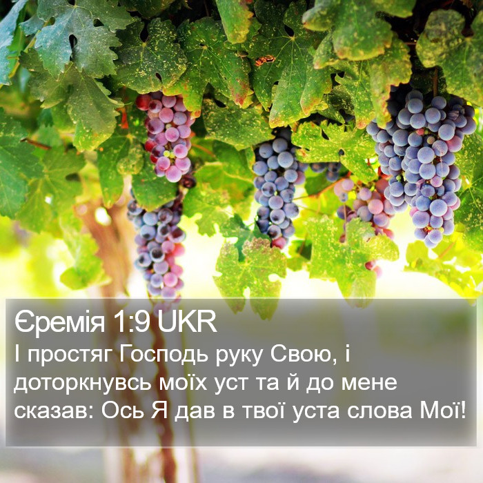 Єремія 1:9 UKR Bible Study