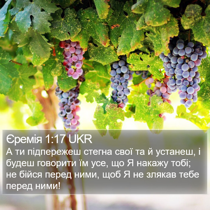 Єремія 1:17 UKR Bible Study