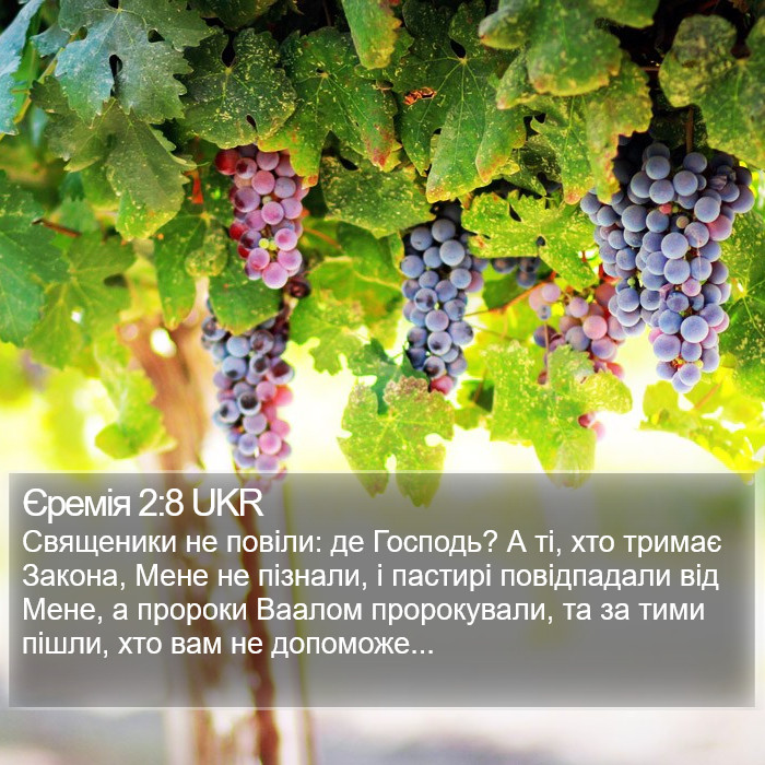 Єремія 2:8 UKR Bible Study
