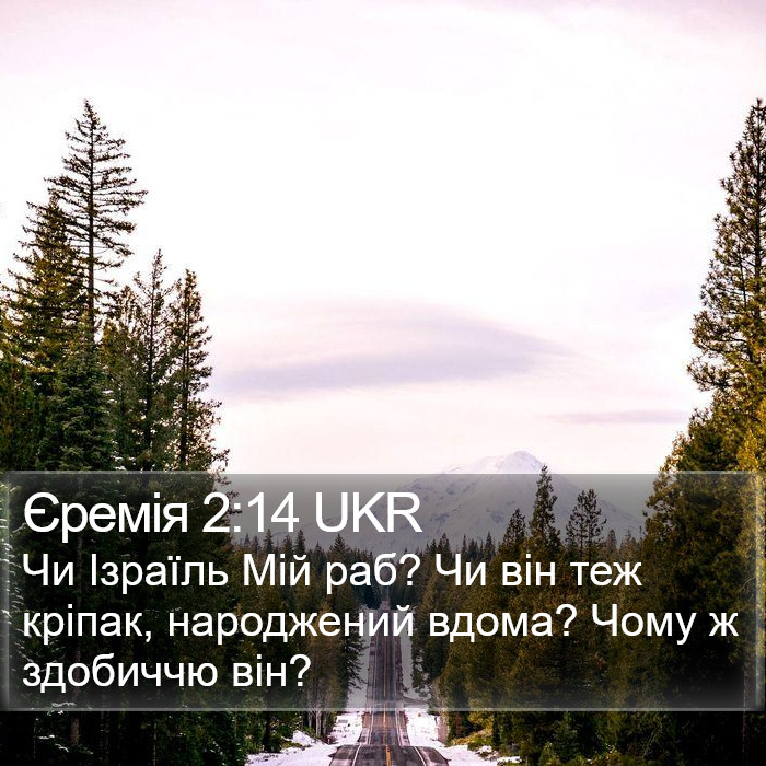 Єремія 2:14 UKR Bible Study