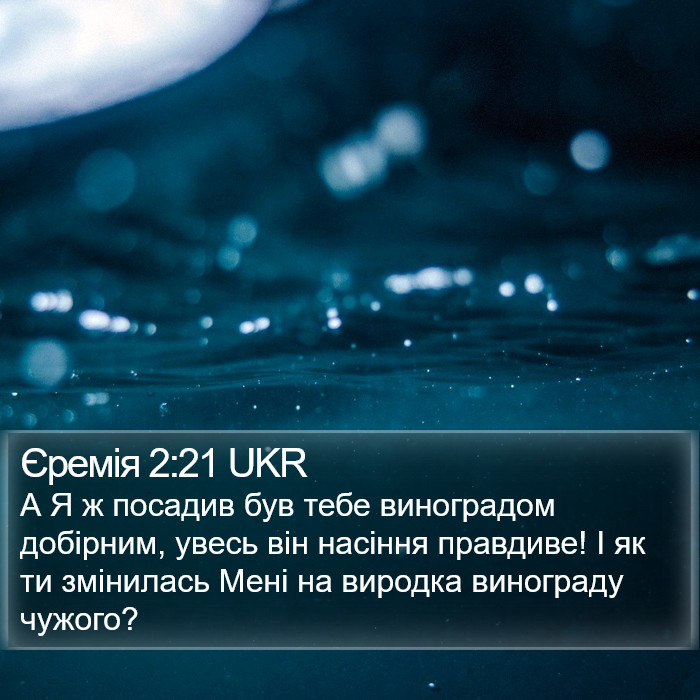 Єремія 2:21 UKR Bible Study