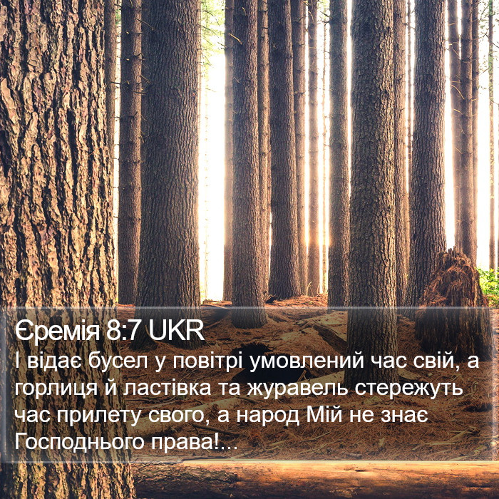 Єремія 8:7 UKR Bible Study