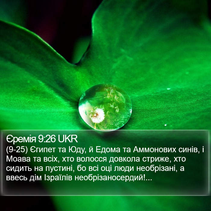 Єремія 9:26 UKR Bible Study