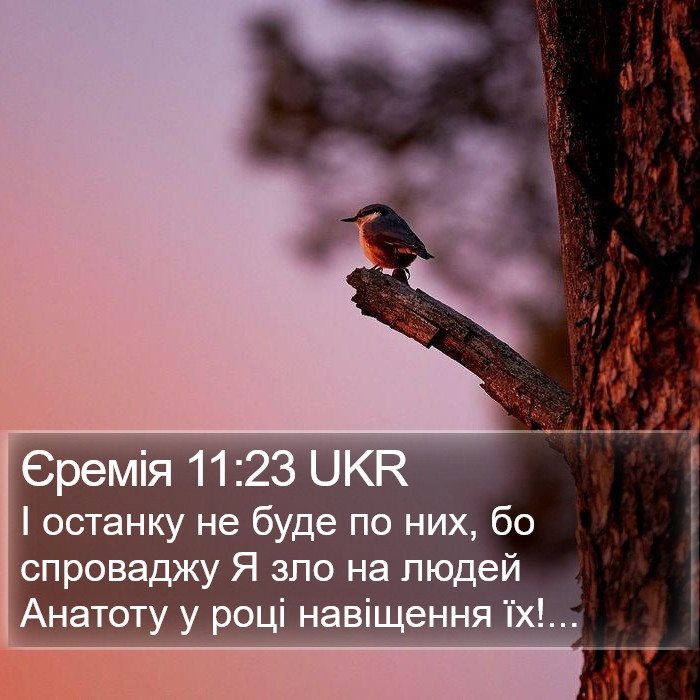Єремія 11:23 UKR Bible Study