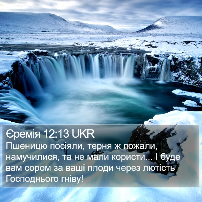 Єремія 12:13 UKR Bible Study