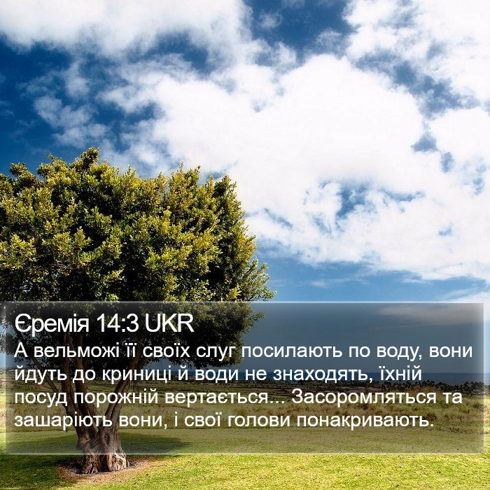 Єремія 14:3 UKR Bible Study