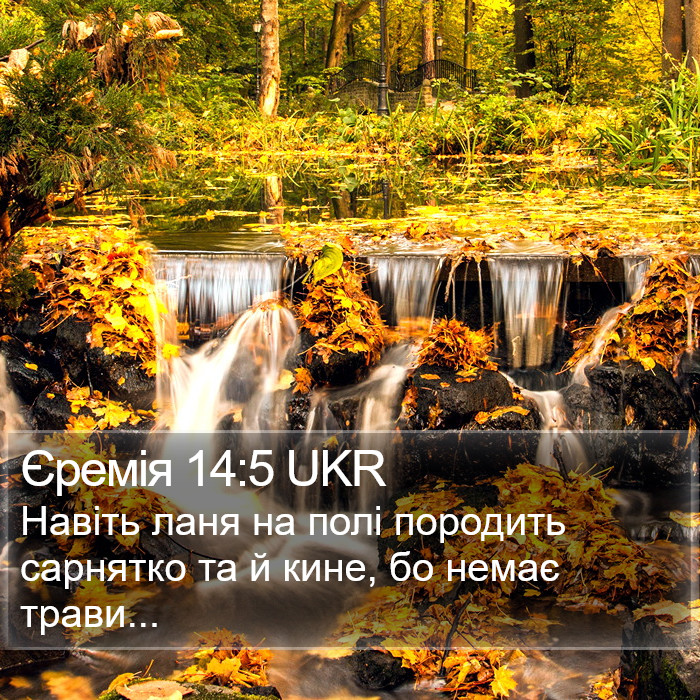 Єремія 14:5 UKR Bible Study