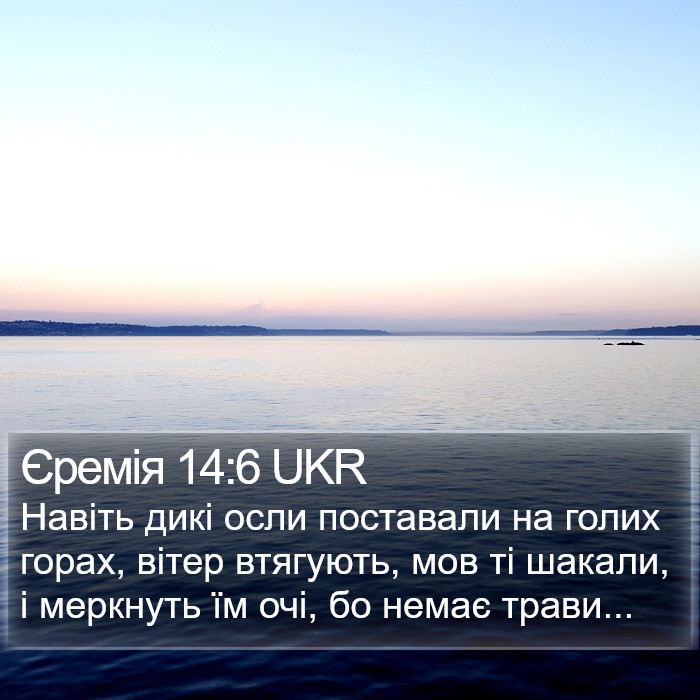 Єремія 14:6 UKR Bible Study