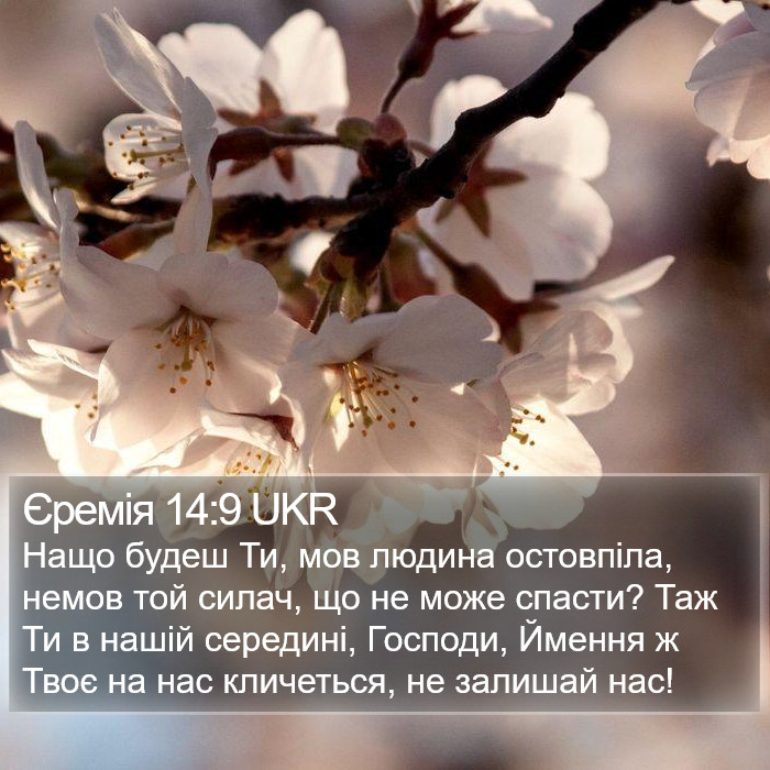 Єремія 14:9 UKR Bible Study