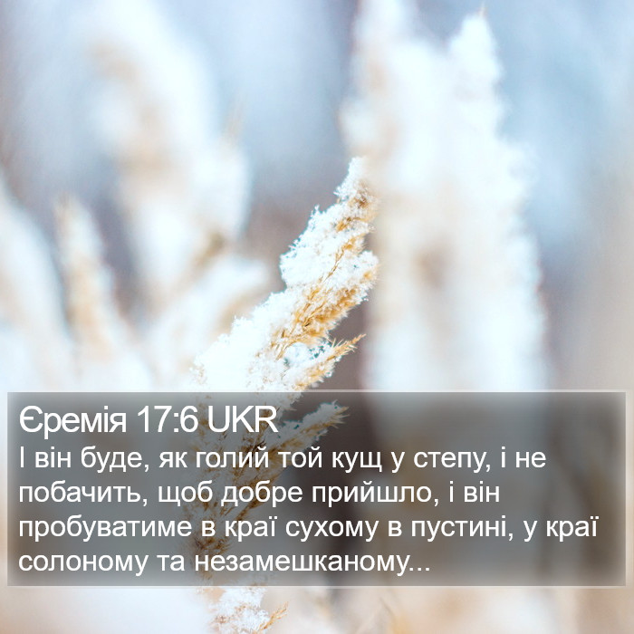 Єремія 17:6 UKR Bible Study